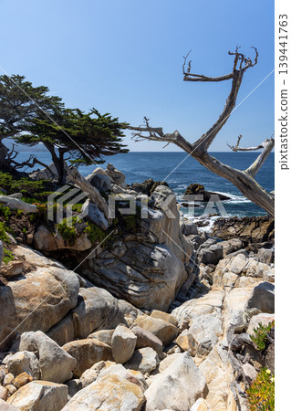 Coastal landscape in California Coastal landscape in California 139441763