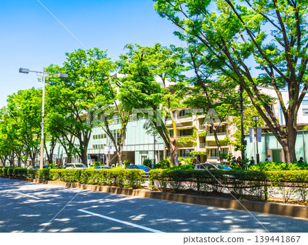 東京新鮮的綠色表參道 東京新鮮的綠色表參道 139441867