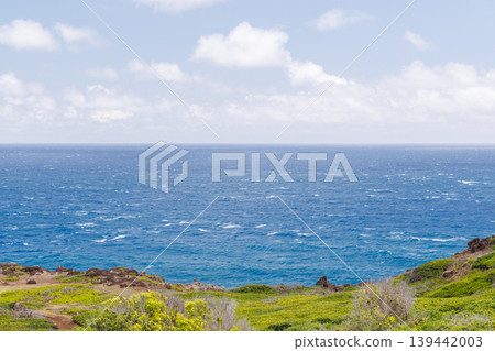 Sunny Hawaiian landscape with ocean and hills Sunny Hawaiian landscape with ocean and hills 139442003