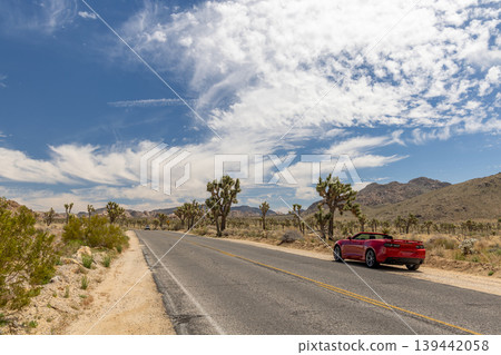 Convertible road trip in Joshua Tree Park Convertible road trip in Joshua Tree Park 139442058