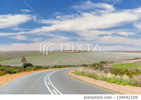 Asphalt road in South Africa surrounded by fields 139442109