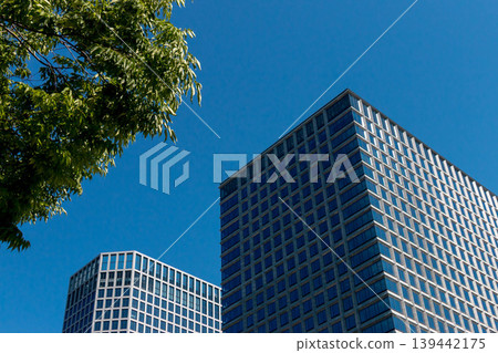Looking up at skyscrapers (Upward growth and a vision for the future) Looking up at skyscrapers (Upward growth and a vision for the future) 139442175