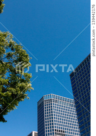 Looking up at skyscrapers (Upward growth and a vision for the future) Looking up at skyscrapers (Upward growth and a vision for the future) 139442176