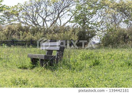 三浦市宮川公園草坪上的長椅 三浦市宮川公園草坪上的長椅 139442181
