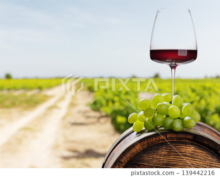 Red wine glass with grapes vineyard background Red wine glass with grapes vineyard background 139442216