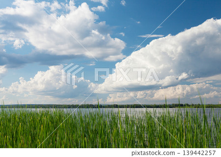 Sunny summer landscape with river and field Sunny summer landscape with river and field 139442257