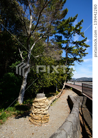 三重縣大津名(一種繩索)花之岩屋神社 三重縣大津名(一種繩索)花之岩屋神社 139442260
