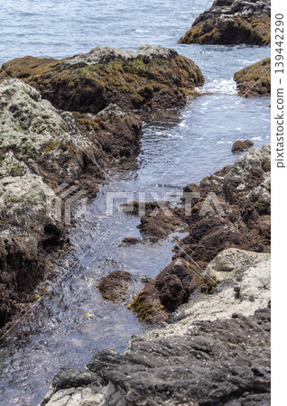 A rocky landscape of seawater flowing between rocks on the shore of the Miura Peninsula, with seaweed spreading out. A rocky landscape of seawater flowing between rocks on the shore of the Miura Peninsula, with seaweed spreading out. 139442290