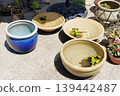 戶外排列著陶瓷水盆和水生植物。 139442487