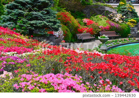 View of Gora Park in Hakone View of Gora Park in Hakone 139442630