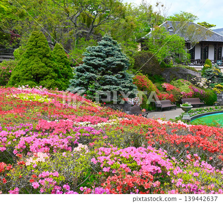 View of Gora Park in Hakone View of Gora Park in Hakone 139442637