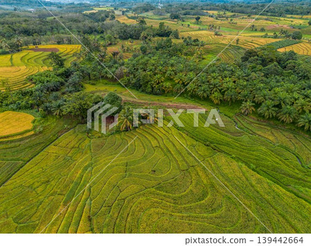The natural beauty of the Indonesian mountains with beautiful tropical forests at sunrise The natural beauty of the Indonesian mountains with beautiful tropical forests at sunrise 139442664