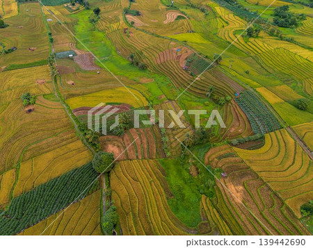 The natural beauty of the Indonesian mountains with beautiful tropical forests at sunrise The natural beauty of the Indonesian mountains with beautiful tropical forests at sunrise 139442690