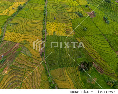 The natural beauty of the Indonesian mountains with beautiful tropical forests at sunrise The natural beauty of the Indonesian mountains with beautiful tropical forests at sunrise 139442692
