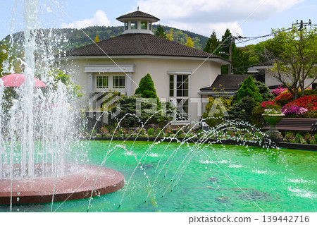 View of Gora Park in Hakone 139442716