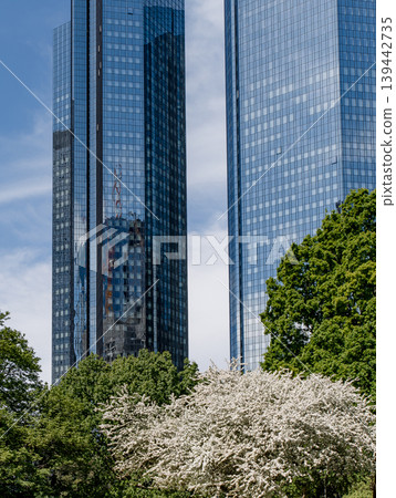 city skyscraper office glass skyline work tree city skyscraper office glass skyline work tree 139442735