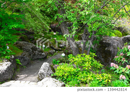 箱根強羅公園景色 箱根強羅公園景色 139442814