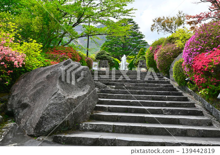 View of Gora Park in Hakone View of Gora Park in Hakone 139442819