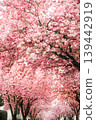 Spring flowers sakura garden background pink nature 139442919