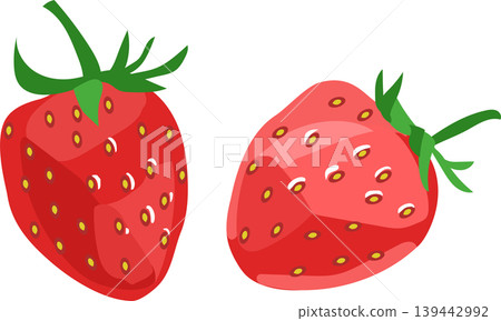 兩顆草莓的寫實插圖 兩顆草莓的寫實插圖 139442992