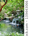 Japanese style garden with green plants 139443066