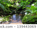 Waterfall in the Japanese garden with green plants 139443069