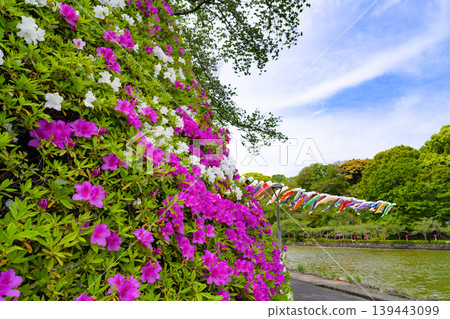 Rengeji Park in early summer, Fujieda City, Shizuoka Prefecture Rengeji Park in early summer, Fujieda City, Shizuoka Prefecture 139443099