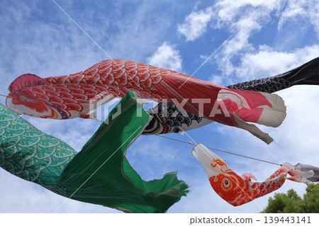 鯉魚幡在天上游 鯉魚幡在天上游 139443141