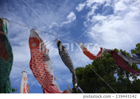 鯉魚飄帶游泳在天空中 鯉魚飄帶游泳在天空中 139443142