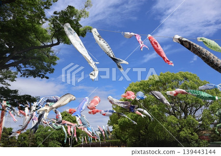 鯉魚幡在天上游 139443144