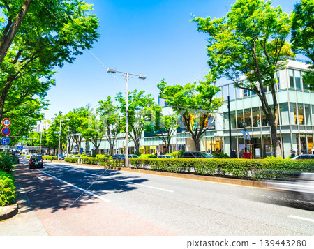 東京新鮮的綠色表參道 139443280