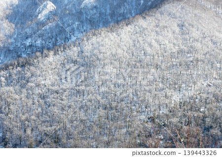 Snow-covered forest in the Caucasus Mountains, Sochi, Russia. Snow-covered forest in the Caucasus Mountains, Sochi, Russia. 139443326