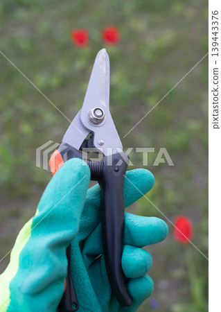 Hand in a green garden glove holding pruning shears in a spring garden Hand in a green garden glove holding pruning shears in a spring garden 139443376