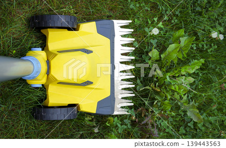 Yellow electric trimmer is cutting the green grass and wildflowers in garden Yellow electric trimmer is cutting the green grass and wildflowers in garden 139443563