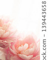 Peony - shakuyaku (Peony) PD 139443658