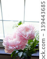 Peony - Shakuyaku z 139443685