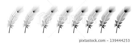 Collection of feather illustration, drawing, engraving, ink line art Collection of feather illustration, drawing, engraving, ink line art 139444253