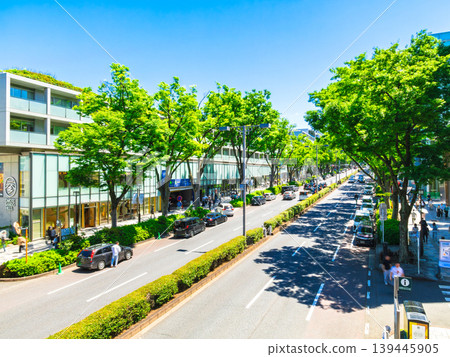 東京新鮮的綠色表參道 139445905