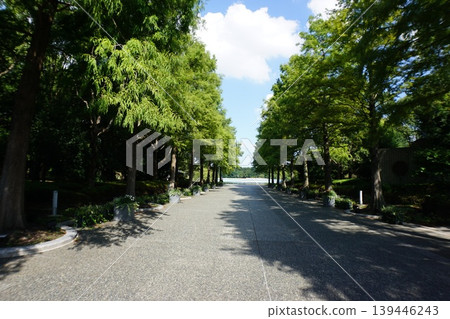 Nagai Park, Osaka Museum of Natural History, Nagai Botanical Garden Nagai Park, Osaka Museum of Natural History, Nagai Botanical Garden 139446243