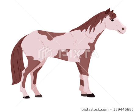 Spotted horse standing side view. Domestic animal flat vector illustration. Farm livestock isolated on white background Spotted horse standing side view. Domestic animal flat vector illustration. Farm livestock isolated on white background 139446695