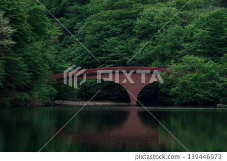 Bridge of Usui Lake 139446973