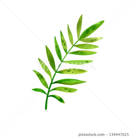 Tropical leaves and landscape elements, isolated watercolor illustration. Exotic green plants hand drawn for postcards and packaging. 139447025