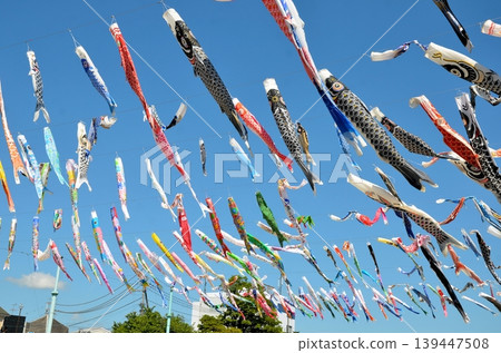 Koinobori Festa 1000 Koinobori Festa 1000 139447508