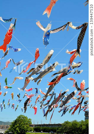 Koinobori Festa 1000 Koinobori Festa 1000 139447510