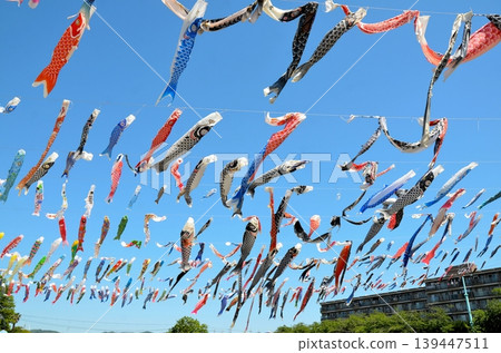 Koinobori Festa 1000 Koinobori Festa 1000 139447511