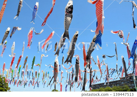 Koinobori Festa 1000 Koinobori Festa 1000 139447513