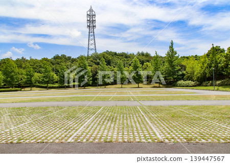 Vegetation blocks (vegetation interlocking blocks/greening blocks) and parking lots Vegetation blocks (vegetation interlocking blocks/greening blocks) and parking lots 139447567