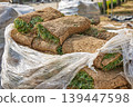 Stack of grass sod rolls wrapped in plastic film for park landscaping. Natural lawn turf prepared for installation. Professional garden renovation and soil improvement project. 139447598