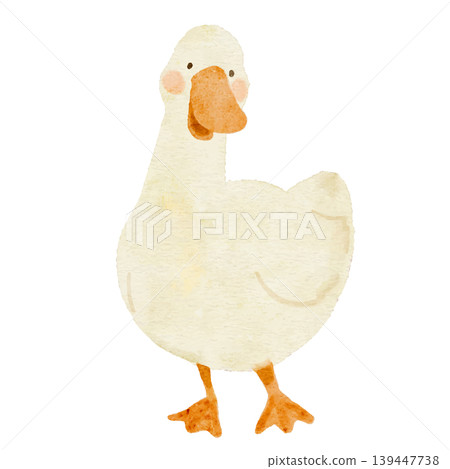 Cute watercolor illustration of a duck (front view) Cute watercolor illustration of a duck (front view) 139447738