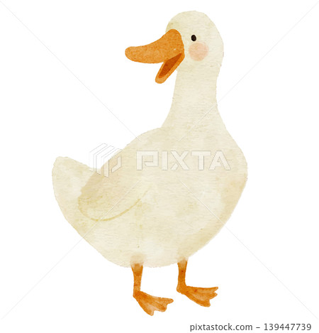 Cute watercolor illustration of a duck Cute watercolor illustration of a duck 139447739